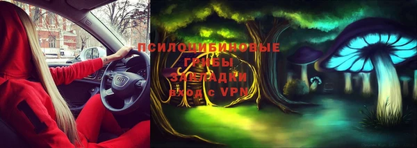 крисы Няндома