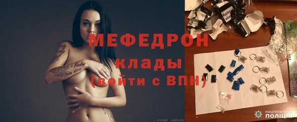 крисы Няндома