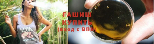 крисы Няндома