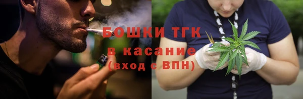 крисы Няндома