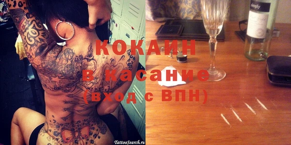 крисы Няндома