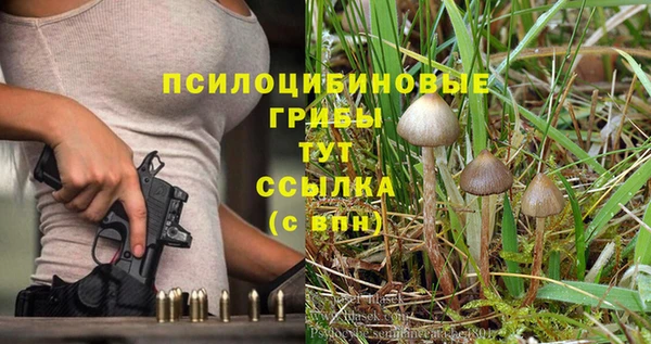 герыч Нягань
