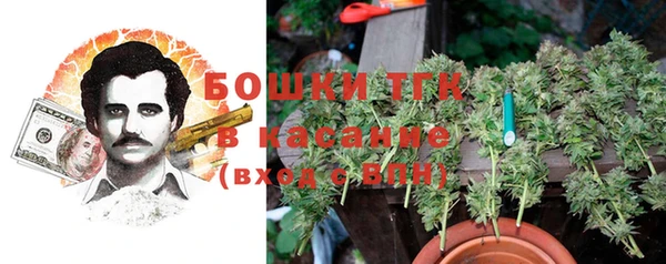 крисы Няндома