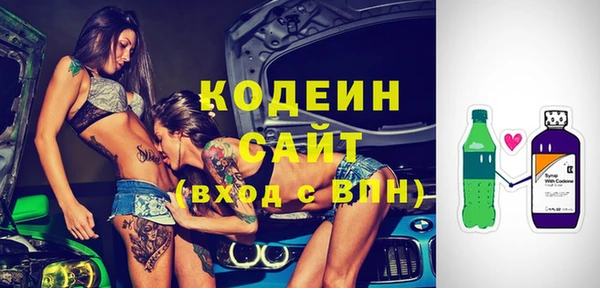 крисы Няндома
