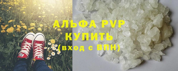 крисы Няндома