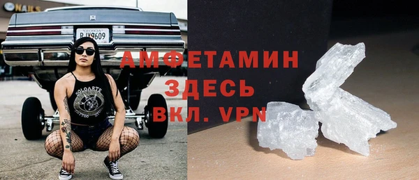 крисы Няндома