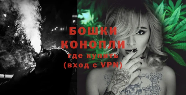 крисы Няндома