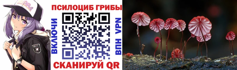 Псилоцибиновые грибы мухоморы  Дыгулыбгей 